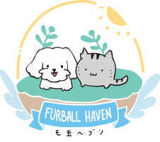 Furball Haven